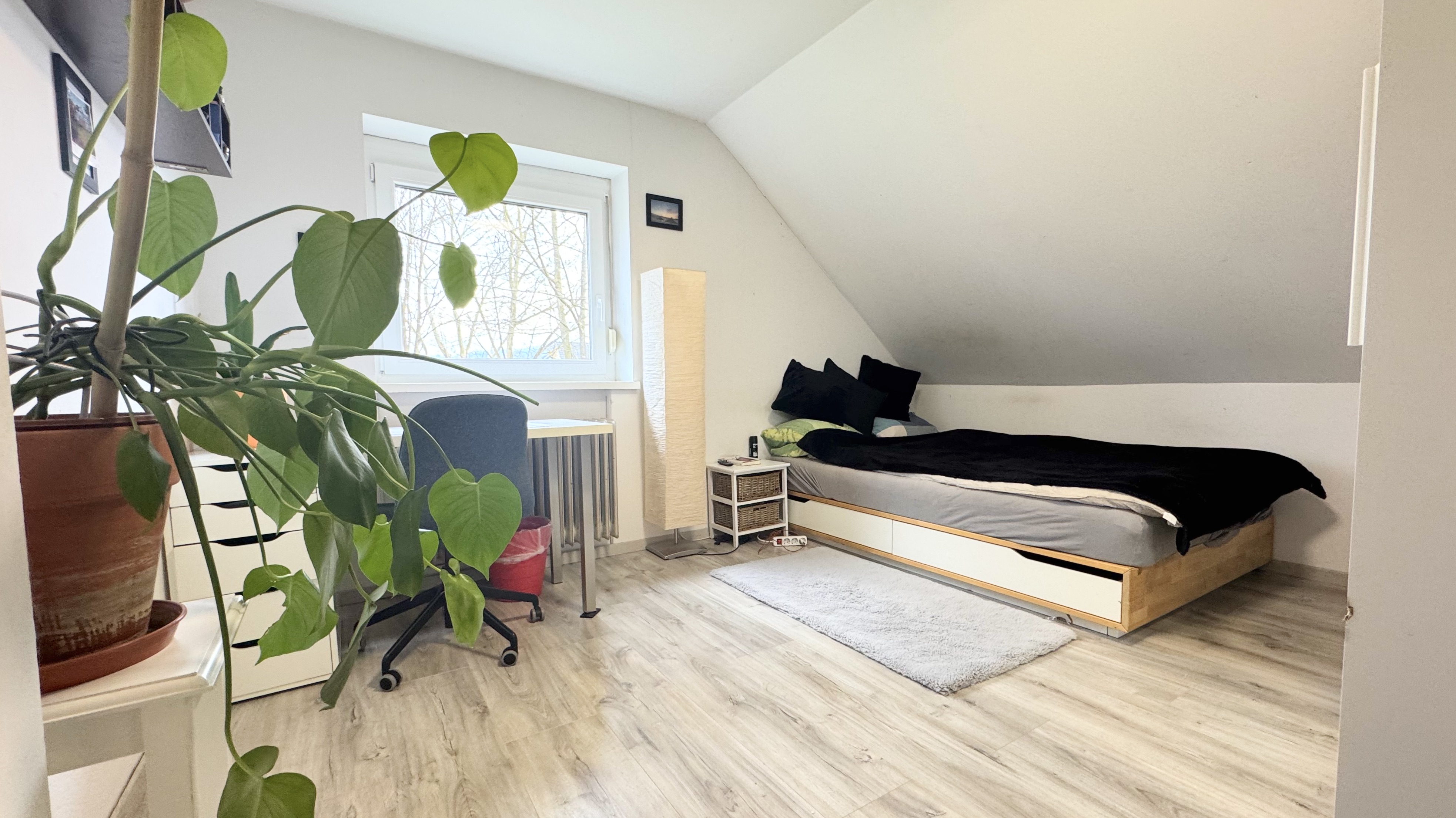 bz-immobilien